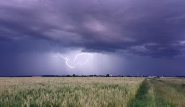 Wetter bringt jetzt Hitze und Blitze: So wird das Wochenende | News