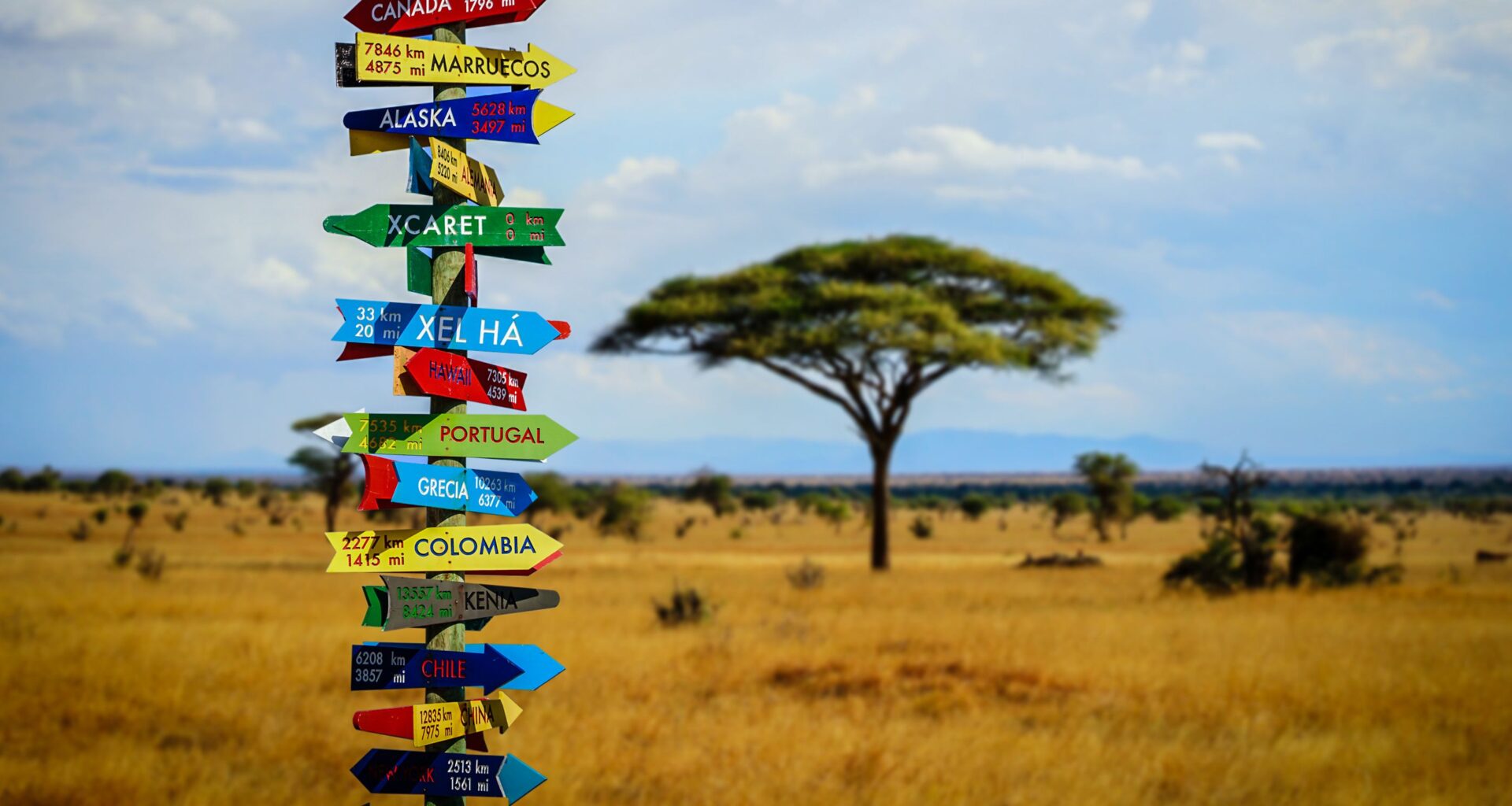 Roaming Tipps: Surfen und Telefonieren im Ausland