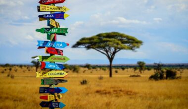 Roaming Tipps: Surfen und Telefonieren im Ausland