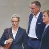 Nachdem das Bundesverwaltungsgericht eine Revision gegen die Urteile des OVG Münster zur Einstufung