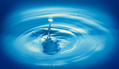 Stadt Halle gibt Hinweise zum sparsamen Umgang mit Wasser