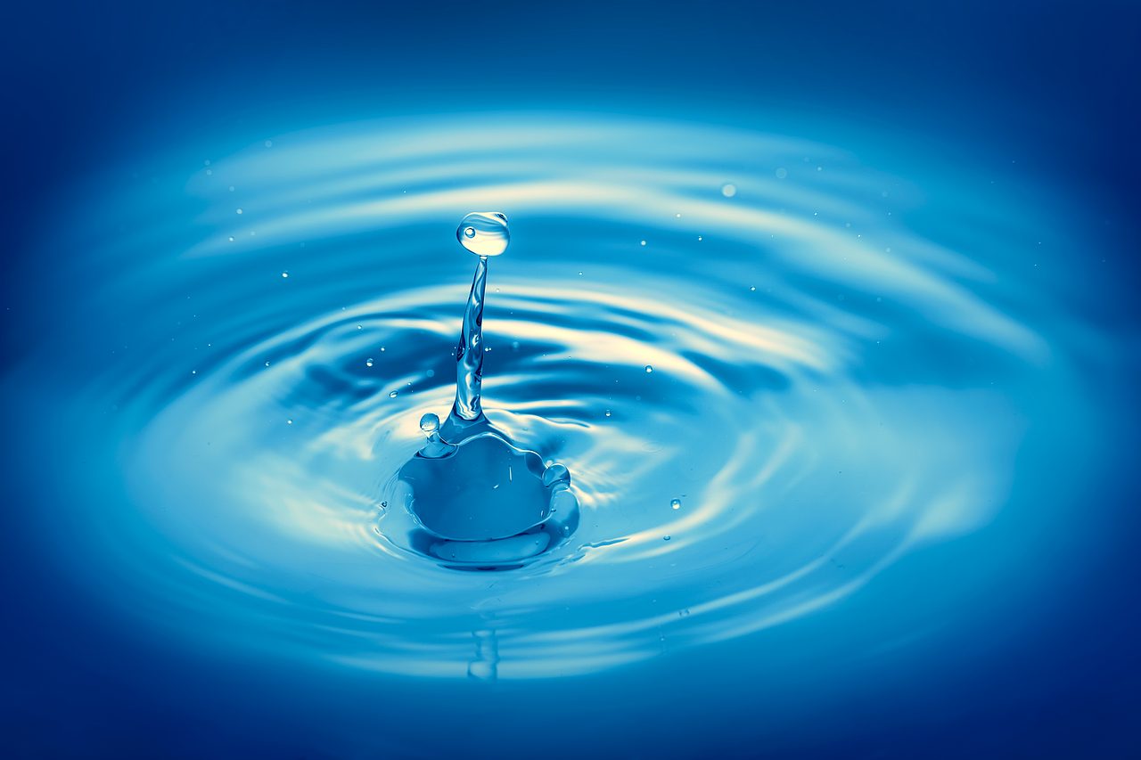 Stadt Halle gibt Hinweise zum sparsamen Umgang mit Wasser