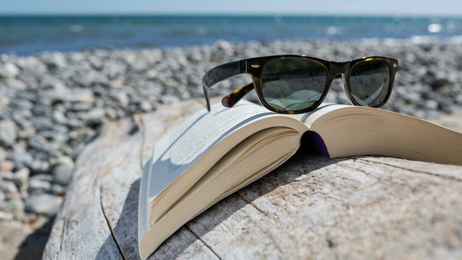 Sommerlektüre und Buchverlosung – Tipps von Mike Altwicker - Hier und heute - Fernsehen - WDR - Hier und heute - Fernsehen