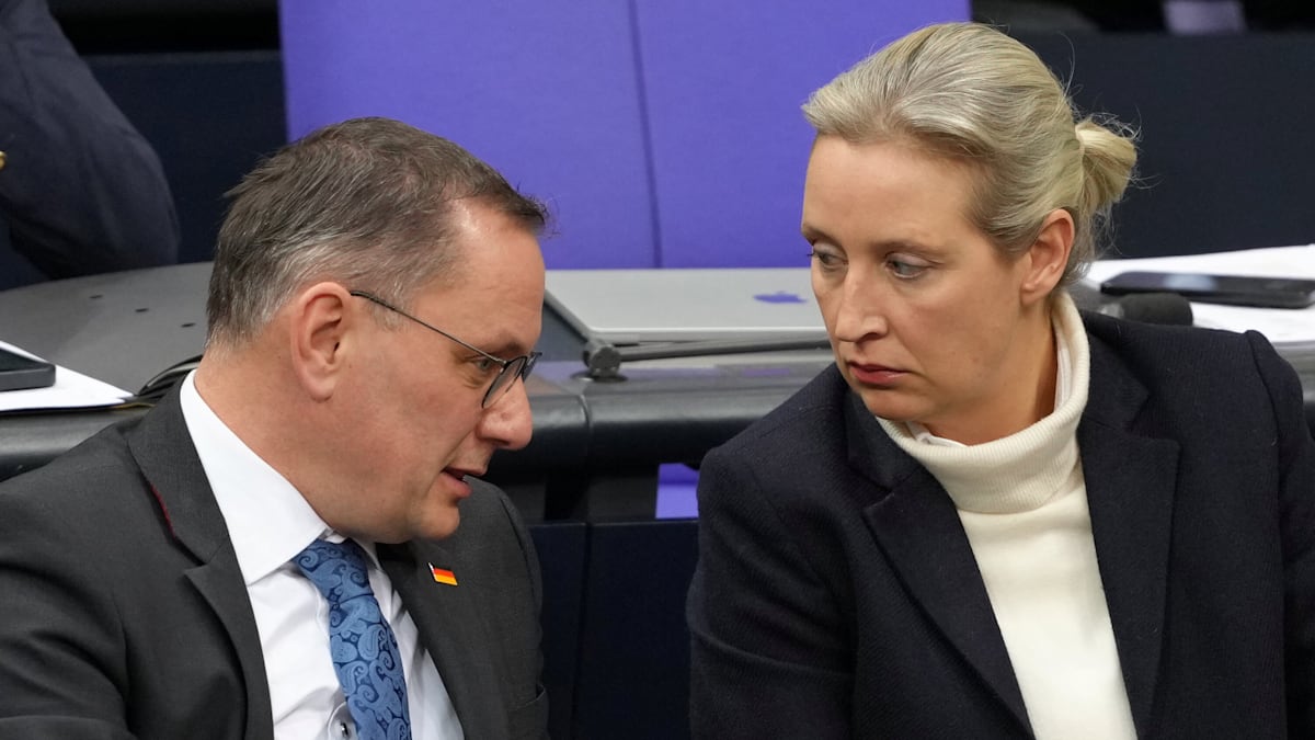 AfD: Weidel und Chrupalla erhalten drastische Gehaltserhöhung – Sie kassieren jetzt 24.000 Euro im Monat