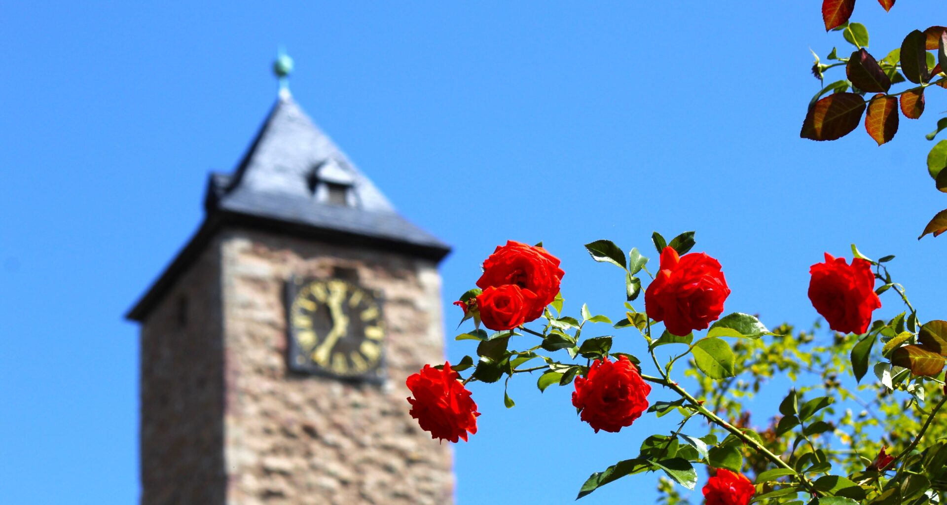 Familiennachmittag am Sonntag auf der Burg
