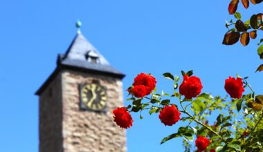 Familiennachmittag am Sonntag auf der Burg