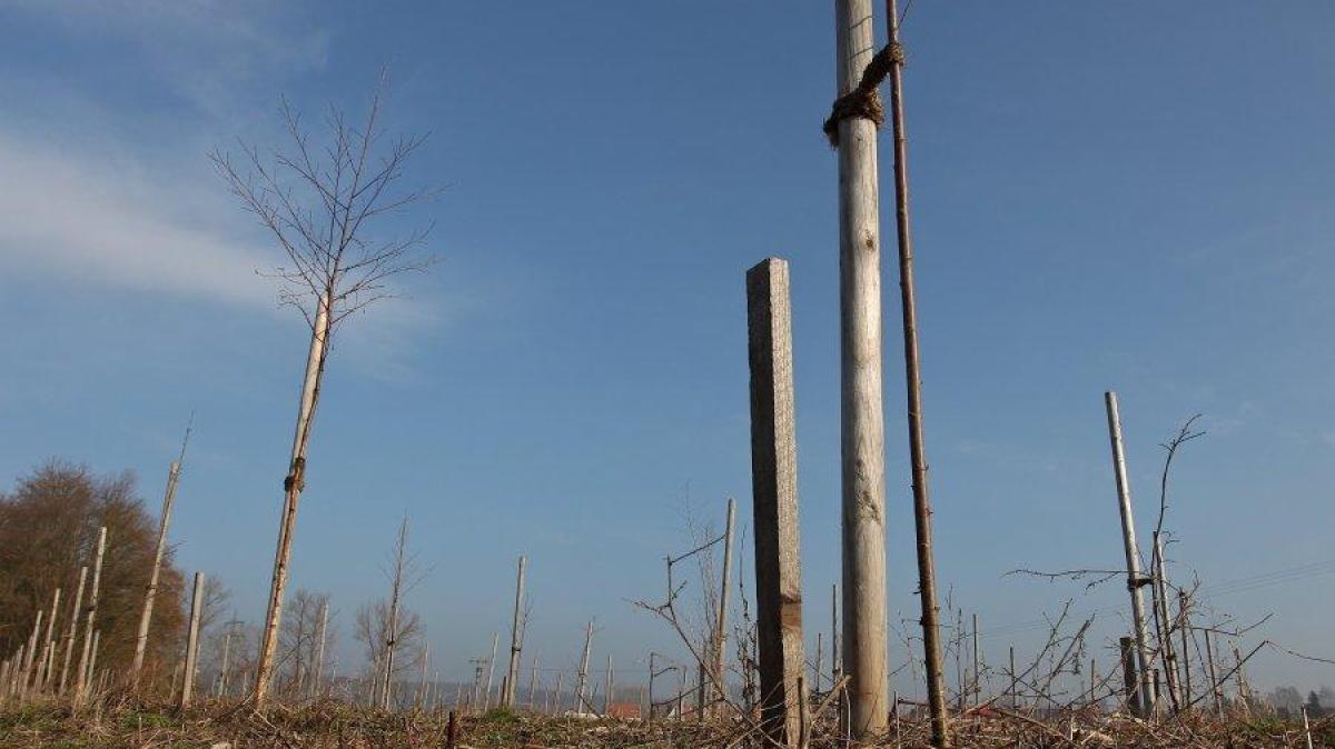 Stadt plant Bürgerpark nahe Autobahn