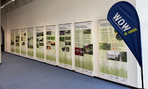 Aktuell kann man sich im WOW Wissensort Wolfenbüttel im Löwentor eine Ausstellung zum Thema „Naturnahes Gärtnern“ anschauen