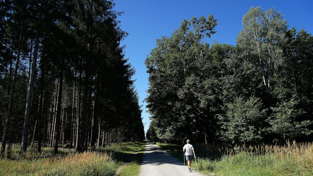 Ob kleine oder große Runde, mit dem Rad oder zu Fuß: Der Forstenrieder Park ist beliebt bei den Münchnern.