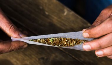 Zahl der Cannabissüchtigen steigt 2024 auf Höchststand