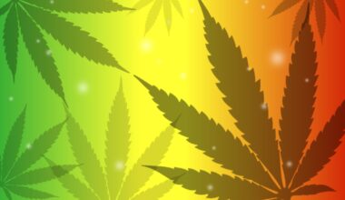Konsumcannabisgesetz in Sachsen-Anhalt: Landesamt für Verbraucherschutz zieht Zwischenbilanz