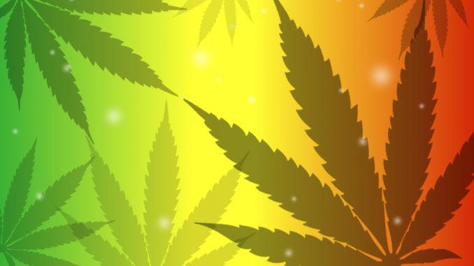 Cannabis
