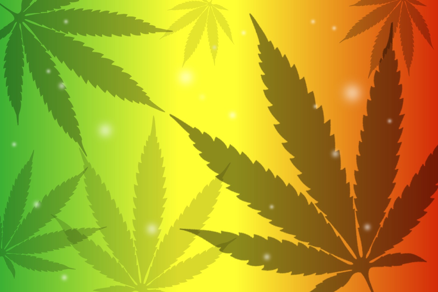 Konsumcannabisgesetz in Sachsen-Anhalt: Landesamt für Verbraucherschutz zieht Zwischenbilanz