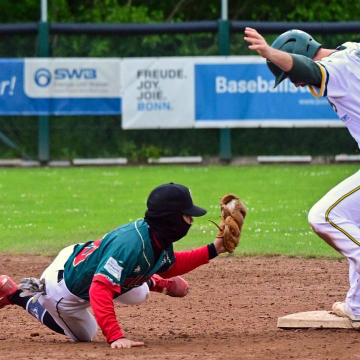 Bonn Capitals spielen Baseball in der Rheinaue