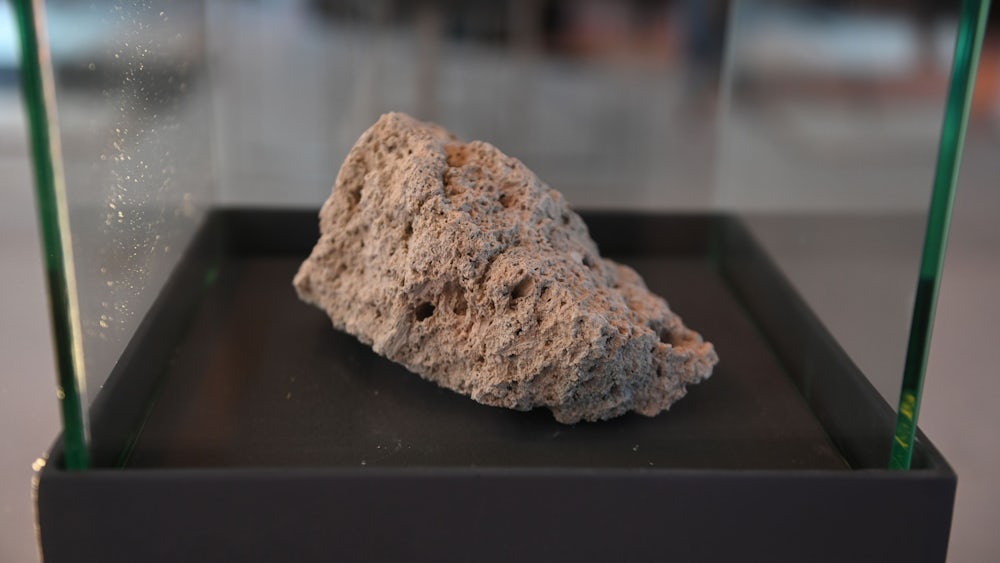 Bei den Bauarbeiten kam ein Fragment der Zwingermauer aus dem 15.Jahrhundert zum Vorschein. Ein Überbleibsel ist im Foyer ausgestellt.