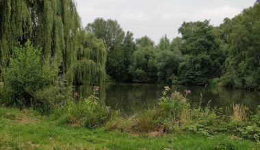Drama in Niedersachsen: Vermisster Junge (13) tot in Teich gefunden | News