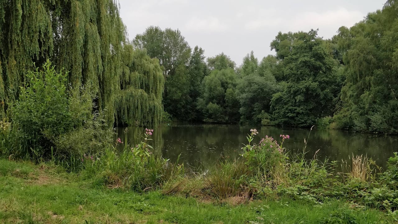 Drama in Niedersachsen: Vermisster Junge (13) tot in Teich gefunden | News