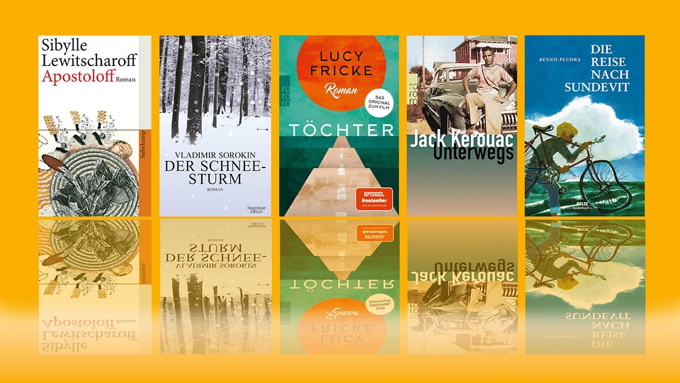 Die 5 besten Bücher über Reisen und Abenteuer – Buchtipps im Juli 2025
