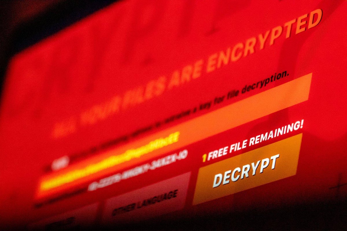 Hannover/Verden | Ermittler stoppen Erpresser-Software - fast 200 Opfer