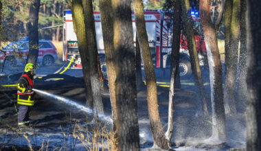 Hessische Feuerwehrkräfte unterstützen Bordeaux gegen Waldbrände
