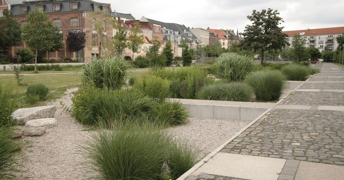 Stadt erarbeitet Programm zur Klimaanpassung - Stadt Leipzig