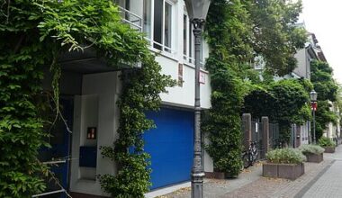 Gartenbauamt fördert private Entsiegelung und Begrünung