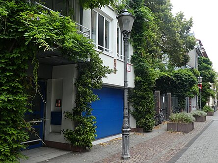 Gartenbauamt fördert private Entsiegelung und Begrünung
