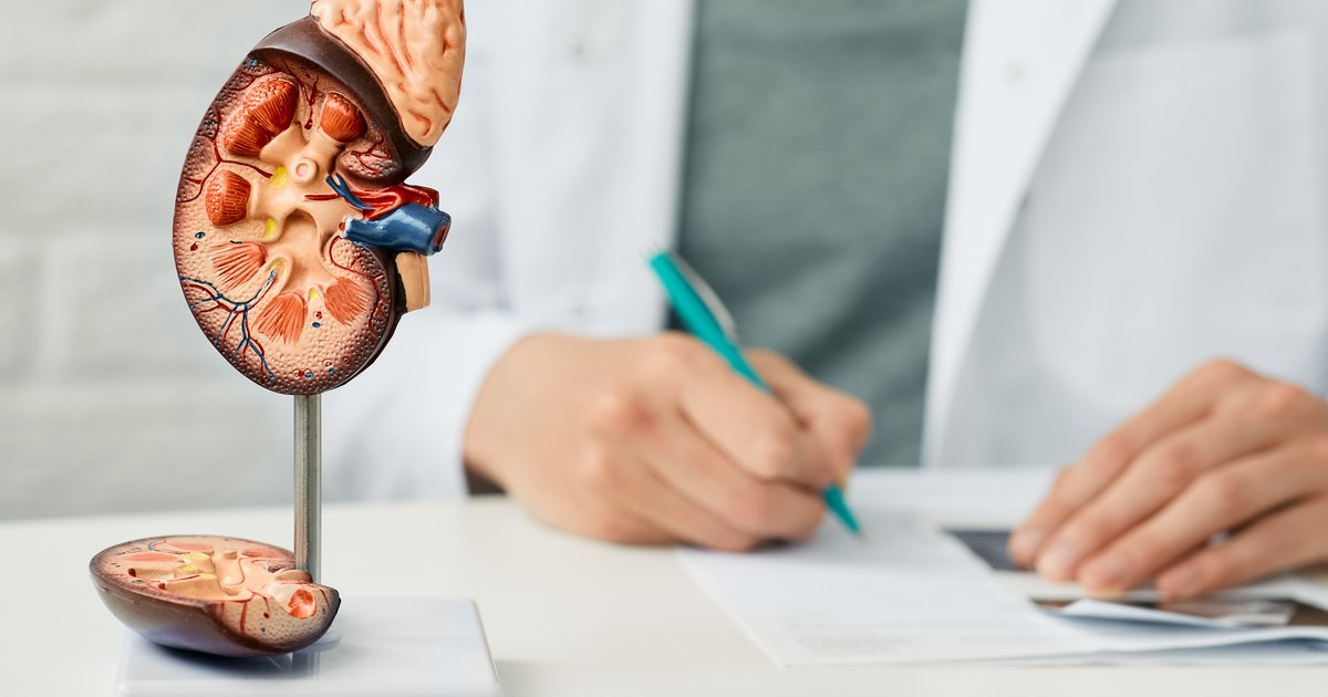 Studie identifiziert beeinflussbare Risikofaktoren für BK Virus-Komplikationen nach Nierentransplantation