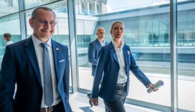 Gemäßigter Anstrich?: AfD streicht "Leitkultur" und "Remigration" aus Grundsatzpapier