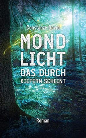 Mondlicht, das durch Kiefern scheint: Roman