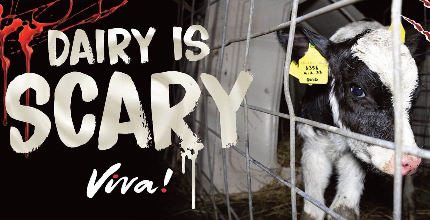 © viva! Dairy is scary