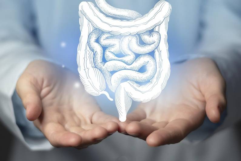 Was hinter dem Anstieg von Morbus Crohn und Colitis ulcerosa steck
