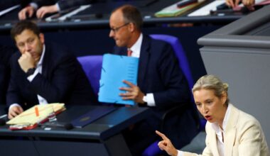 AfD: Nach ARD-Sommerinterview – Umfrage-Rumms für Alice Weidel! | Politik