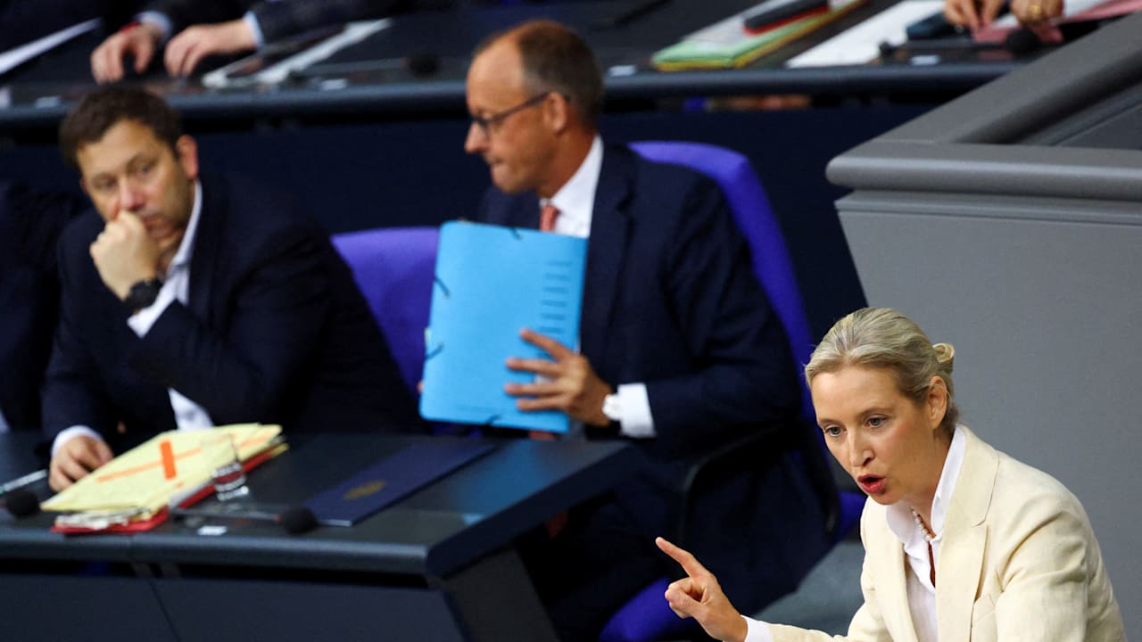 AfD: Nach ARD-Sommerinterview – Umfrage-Rumms für Alice Weidel! | Politik