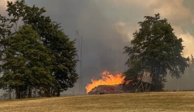 Waldbrand bei Saalfelder Höhe außer Kontrolle: Katastrophenfall in Thüringen ausgerufen | News