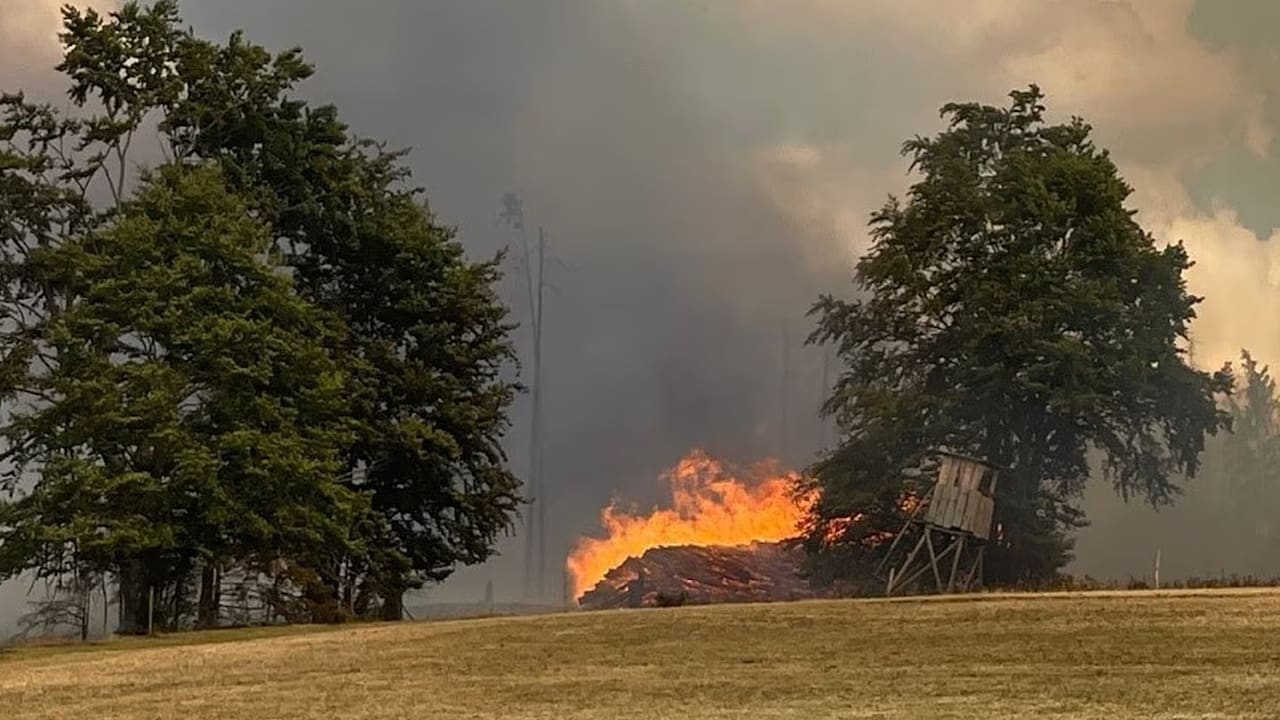 Waldbrand bei Saalfelder Höhe außer Kontrolle: Katastrophenfall in Thüringen ausgerufen | News