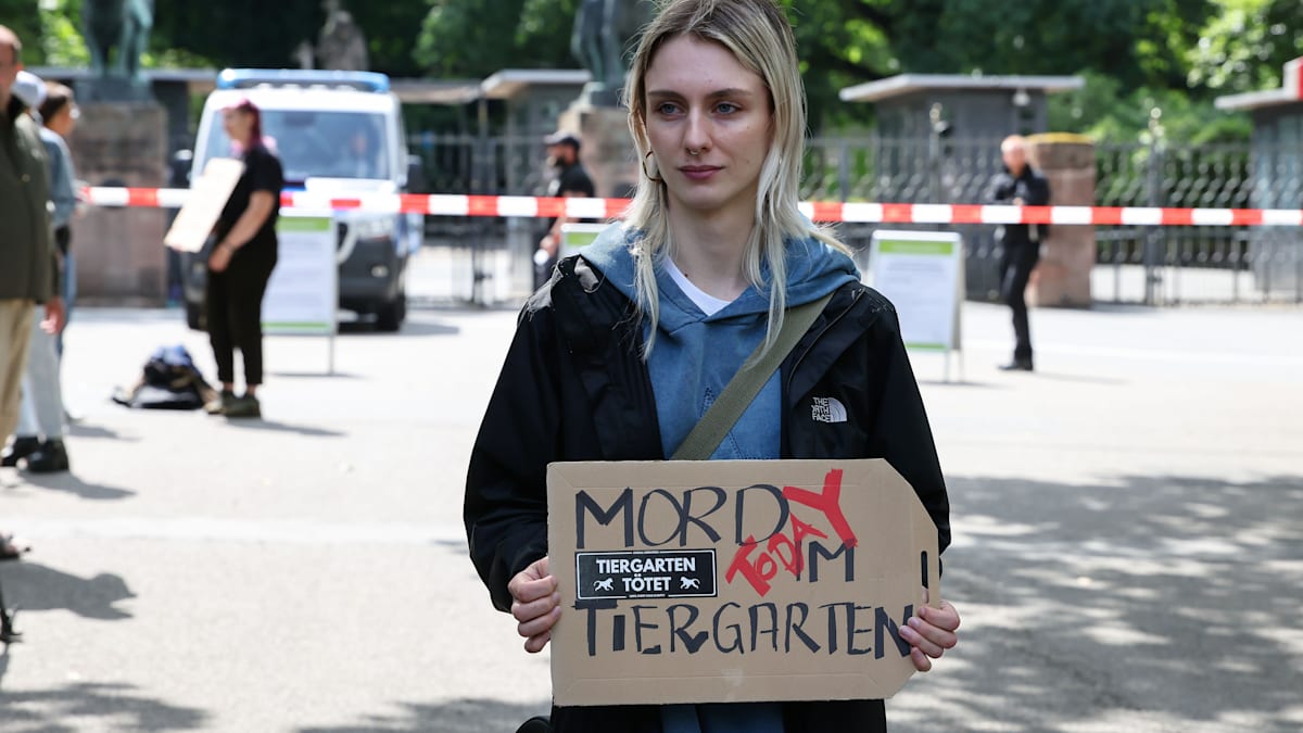 Nürnberg: Zoo tötet zwölf Paviane – Aktivisten stürmen Tiergarten
