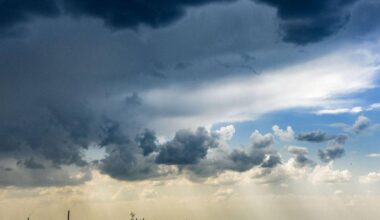 Unwetter beenden Hitzewelle - Waldbrände und Windschäden