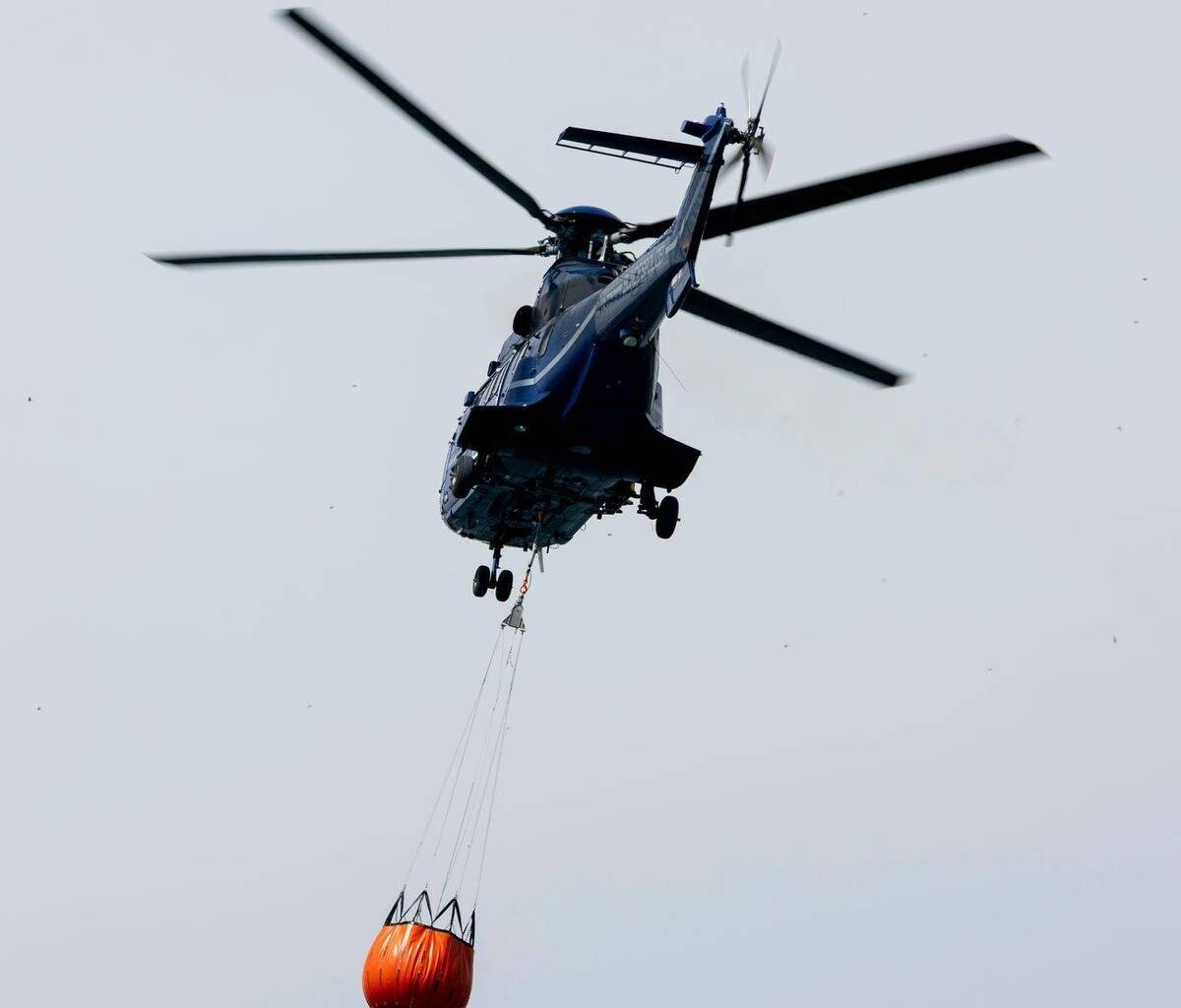 Waldbrände im Osten: Brandgeruch bis nach Berlin