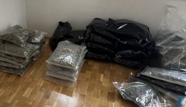 Polizei entdeckt bei Razzia kiloweise Drogen: 5 Männer in U-Haft