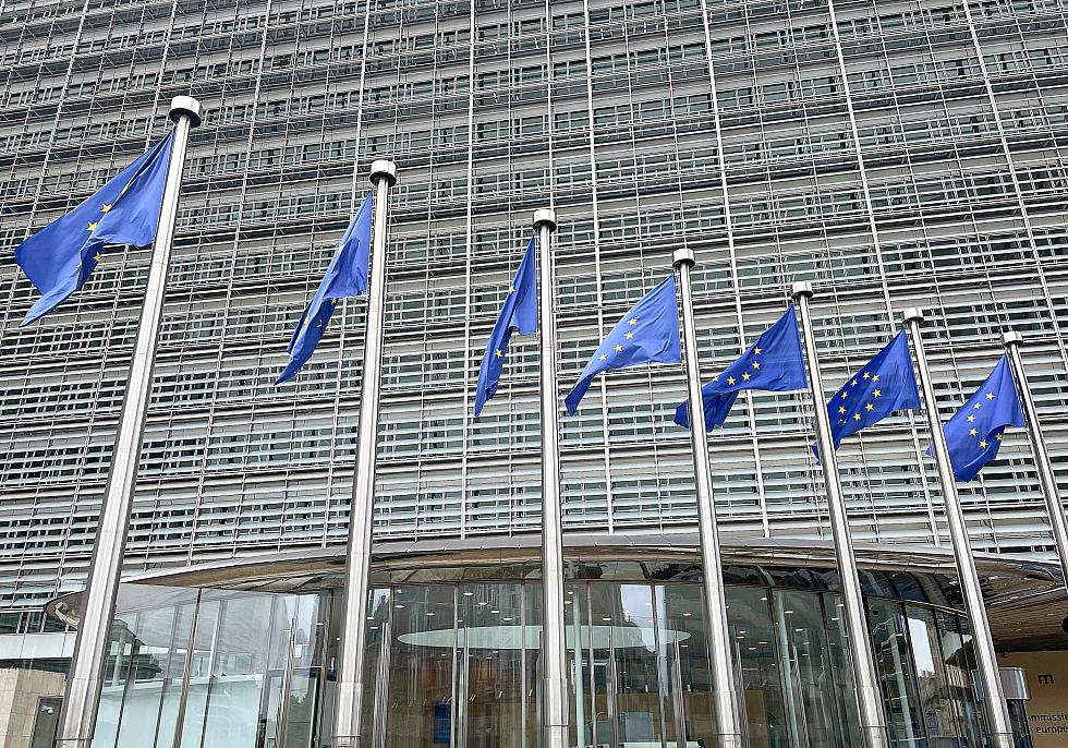 EU-Fahnen (Archiv), über dts Nachrichtenagentur