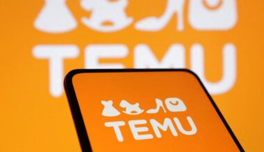 Illegale Produkte: Online-Plattform Temu droht EU-Strafe | Geld