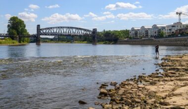 Magdeburger Elbe fast ausgetrocknet: Folgen für Mensch und Tier
