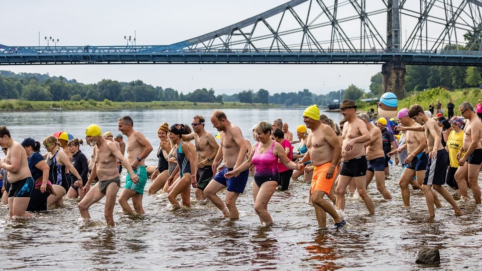 Neuer Teilnehmerrekord bei Dresdner Elbeschwimmen