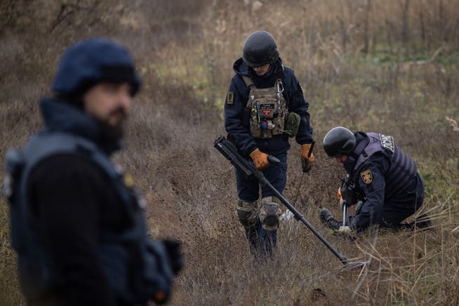Minenräumung in der Region Cherson. Die Ukraine gehört zu den am stärksten von Antipersonenminen betroffenen Ländern der Welt.