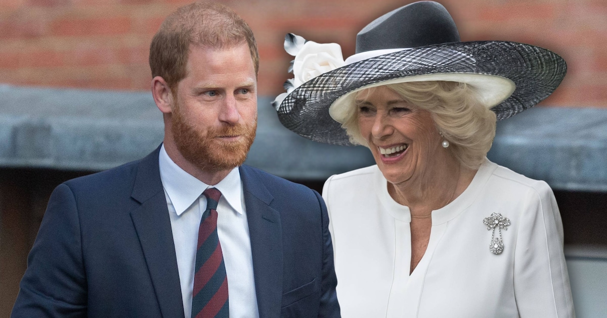 Nach öffentlichem Streit: Camilla soll Prinz Harry vergeben haben
