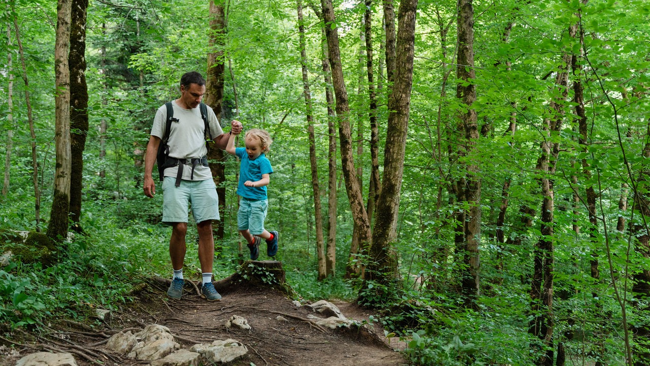 Von Wald bis Wasser: Tipps für Mikroabenteuer in Bremen und Umgebung