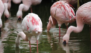Rabatt-Aktion im Bergzoo Halle bis zum 30.09.2025