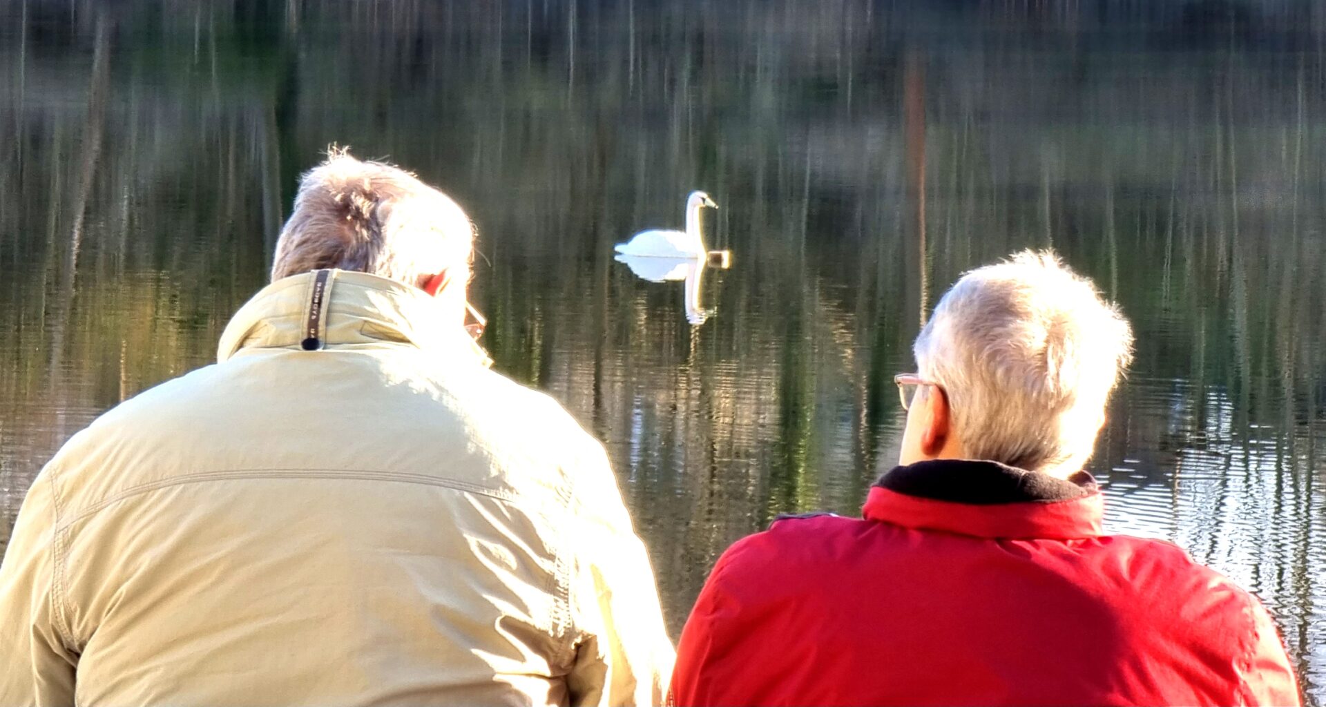H@llAnzeiger - Lebenserwartung in Sachsen-Anhalt gestiegen