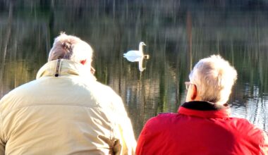 H@llAnzeiger - Lebenserwartung in Sachsen-Anhalt gestiegen